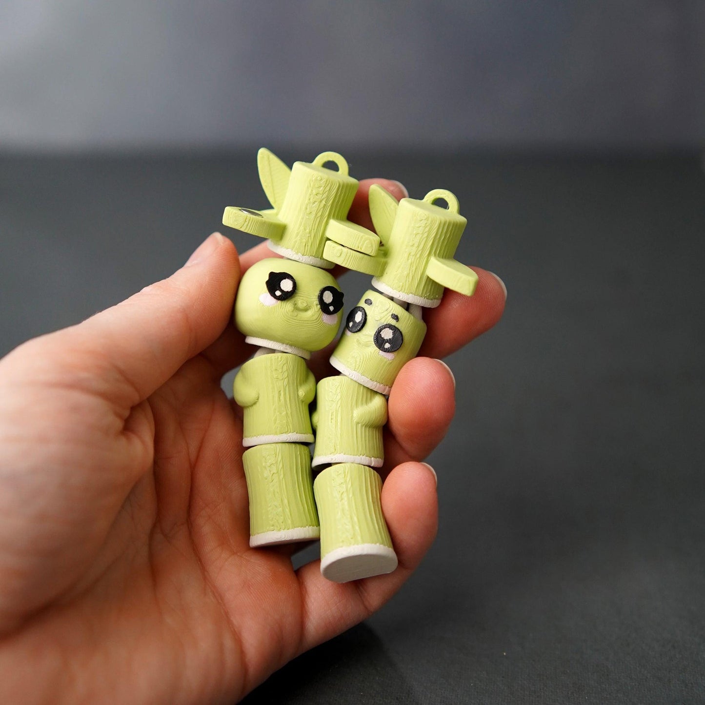 Bamboo Buddies – Paire de jouets magnétiques à tenir en main